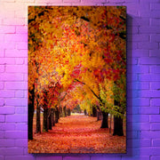 Chromaluxe® Aluminum Photo Panels - Imagination Print