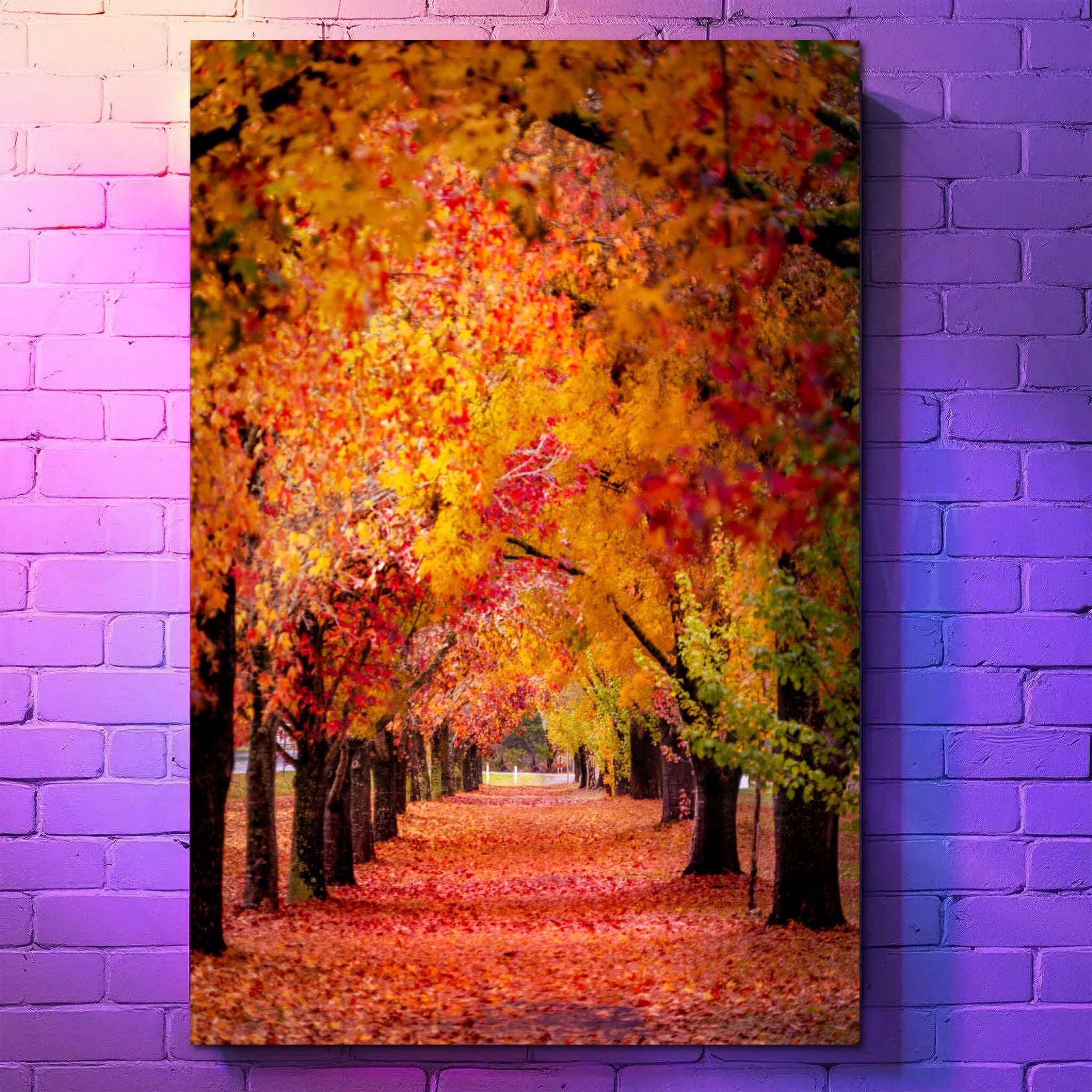 Chromaluxe® Aluminum Photo Panels - Imagination Print