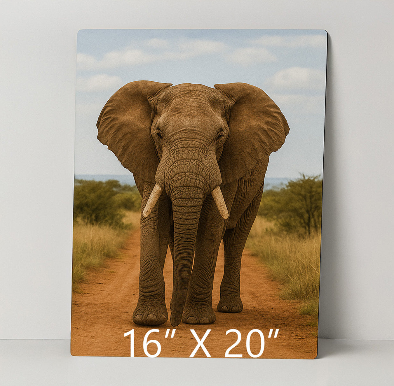 Chromaluxe® Portrait Panel - Imagination Print