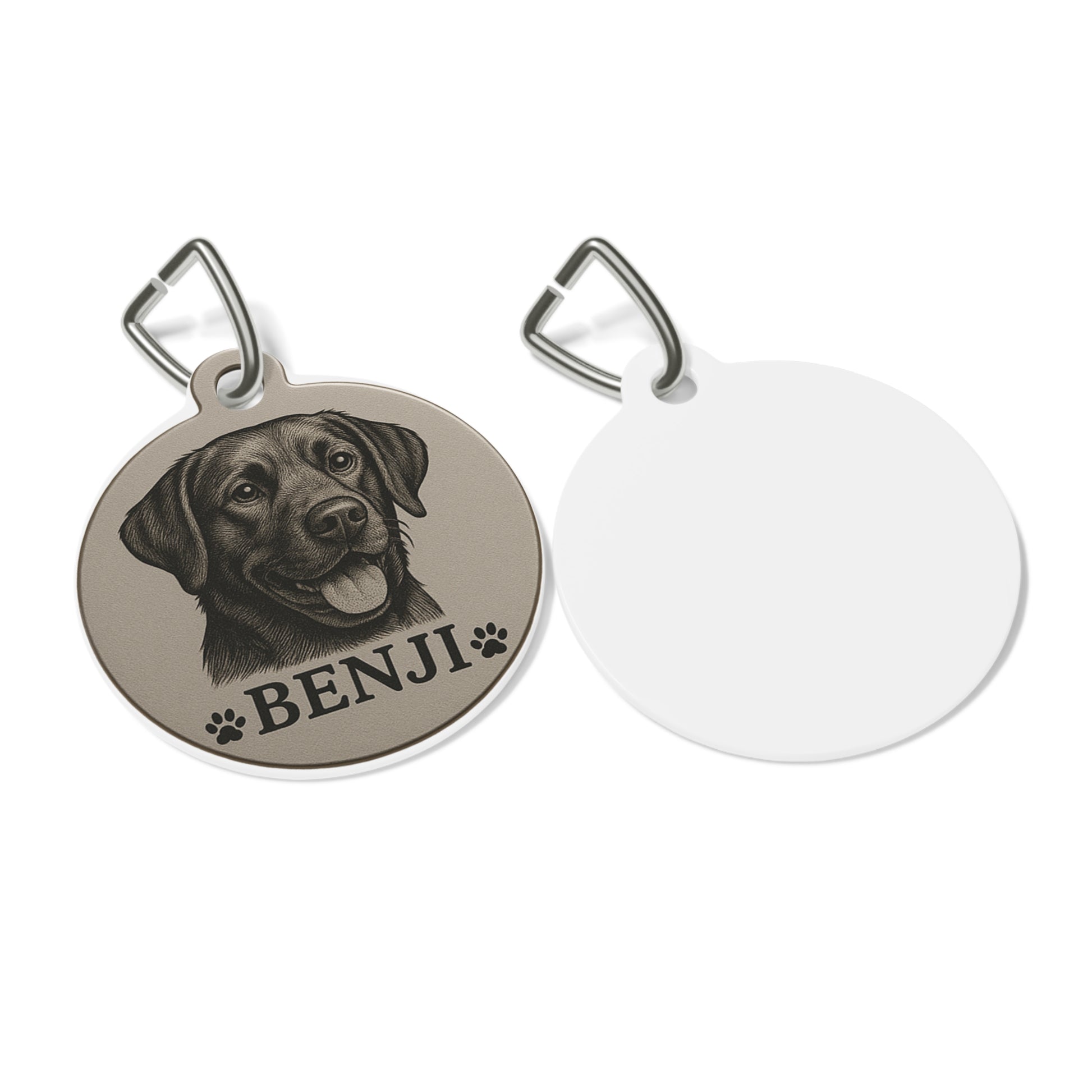 Personalized Pet Tag - Imagination Print