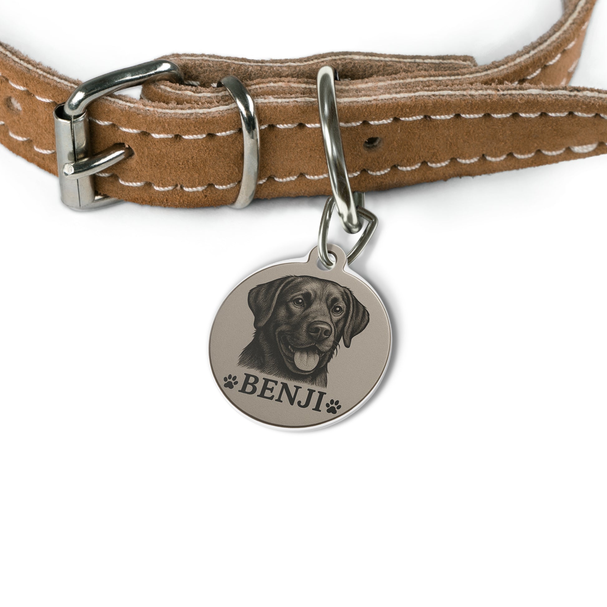 Personalized Pet Tag - Imagination Print
