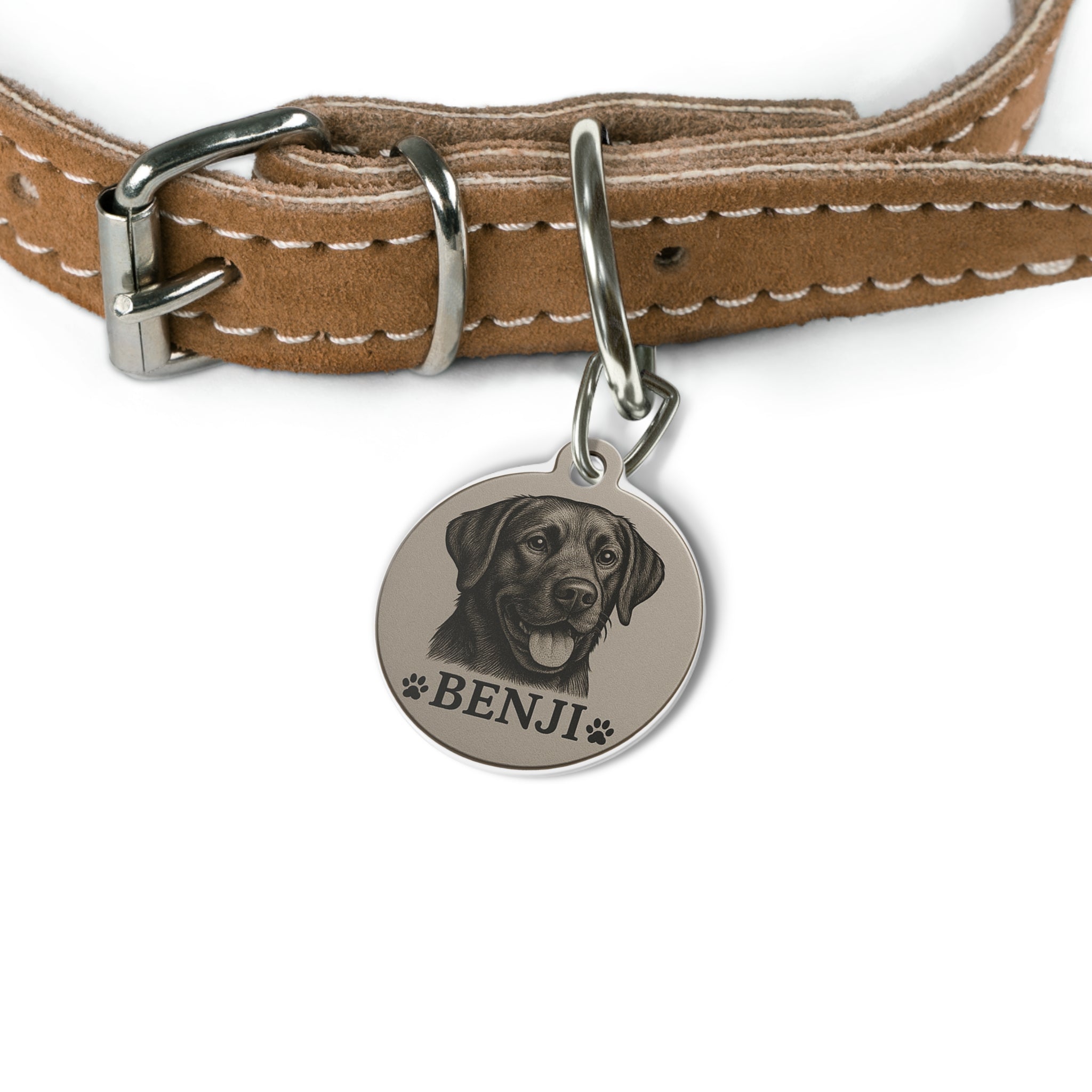 Personalized Pet Tag - Imagination Print